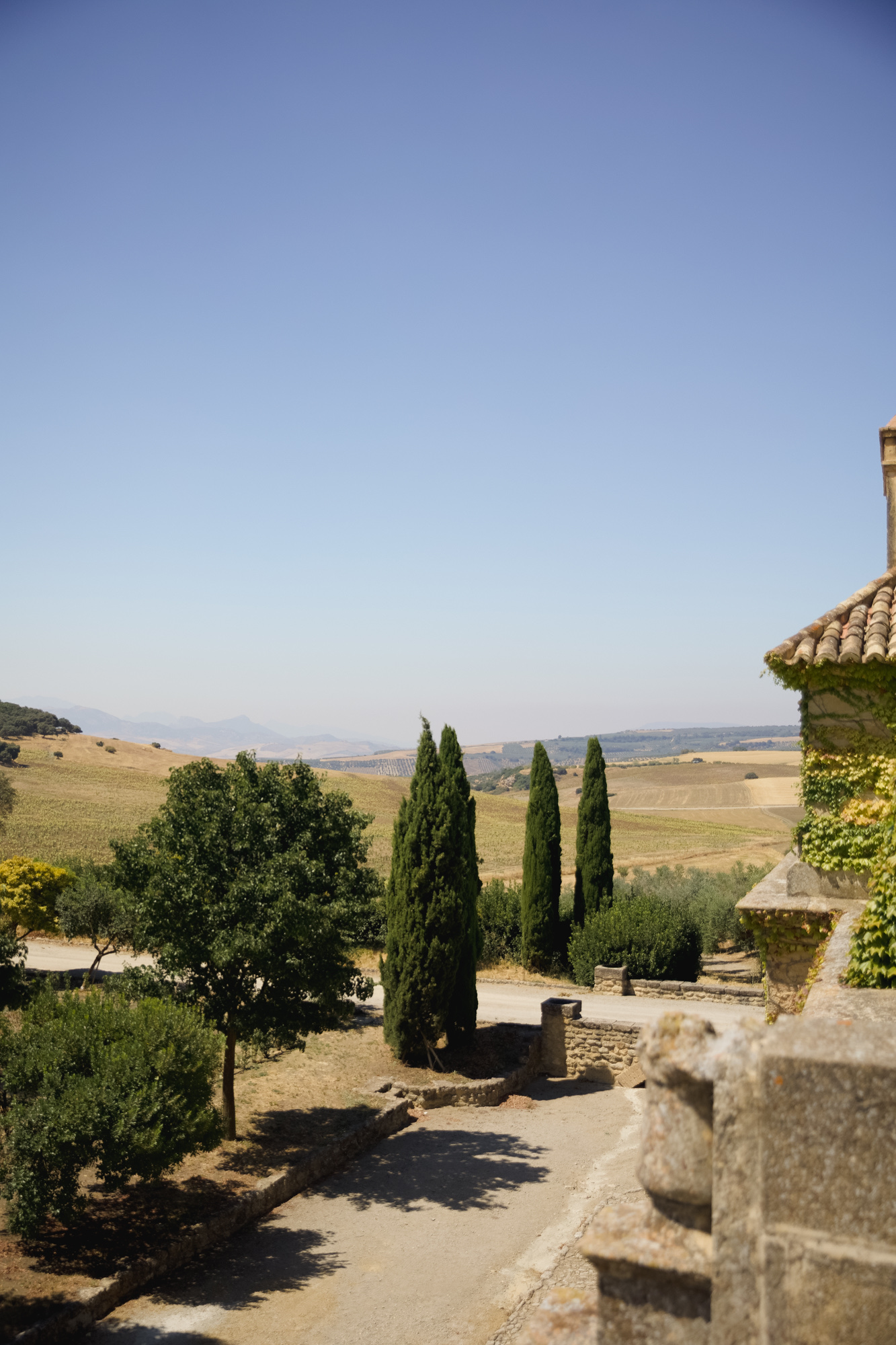 View of the Andalusian countryside through the estate gateway, cypress trees in the foreground