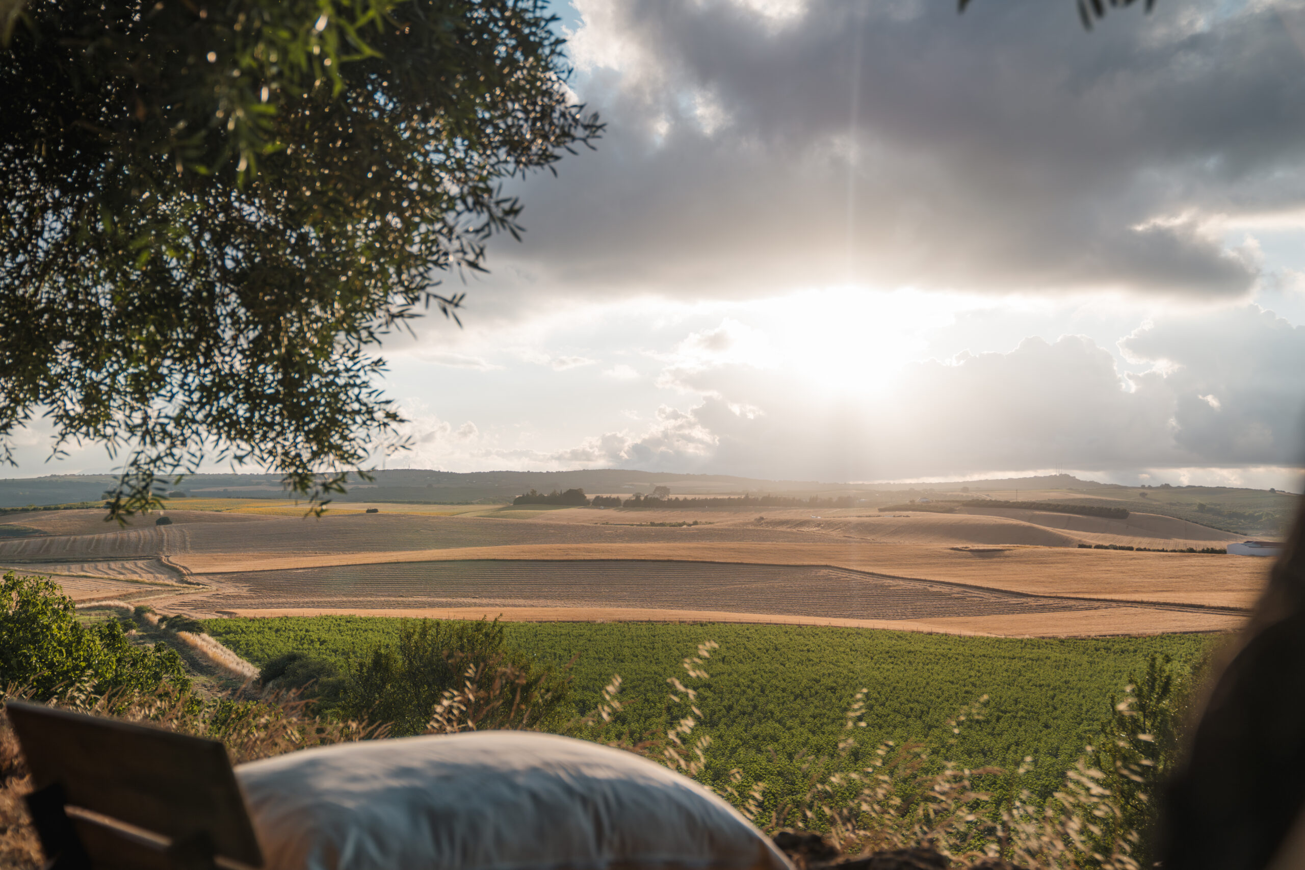 The panoramic terrace at sunset